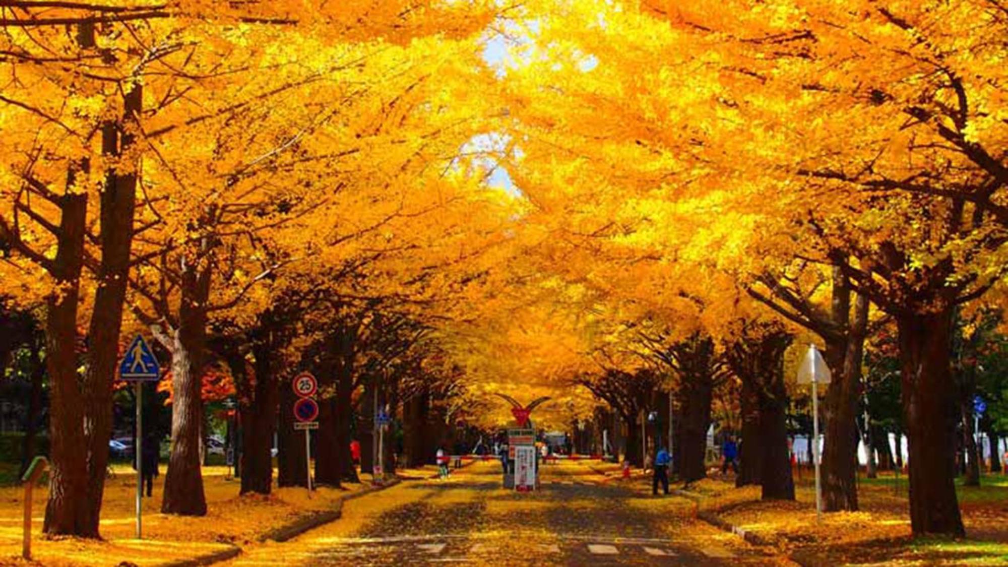 Toyoko Inn Hokkaido Sapporo-Eki Nishi-Guchi Hokudai Mae מראה חיצוני תמונה